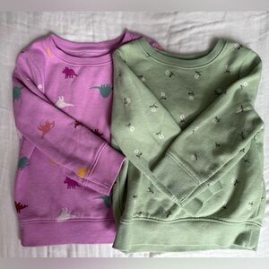 2 pack Cat & Jack Girls' Green Floral and Purple Dino Sweatshirt Set